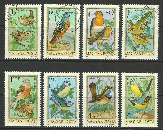 birds 35