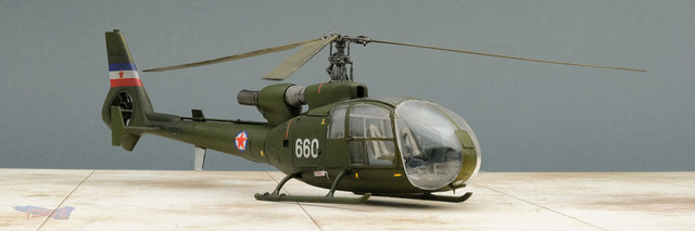 gazelle-uw-01.jpg