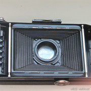 IMG-2748
