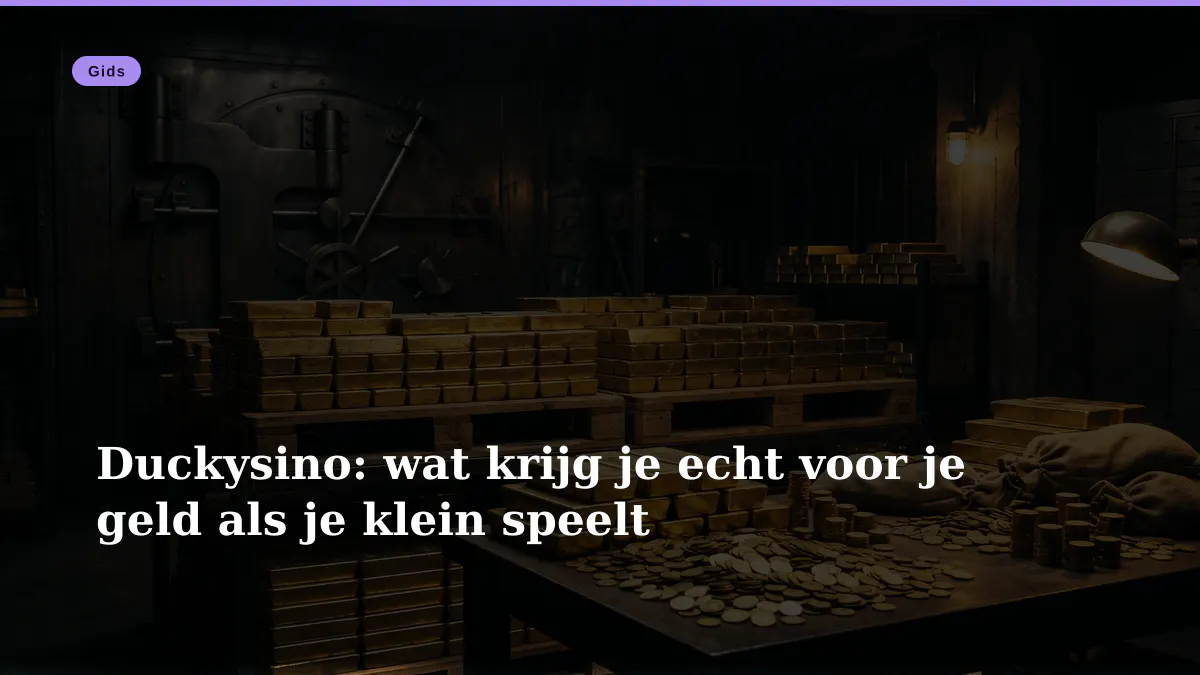 Duckysino: wat krijg je echt voor je geld als je klein speelt