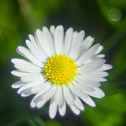 IMGP1100