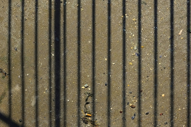E1SR8323.jpg