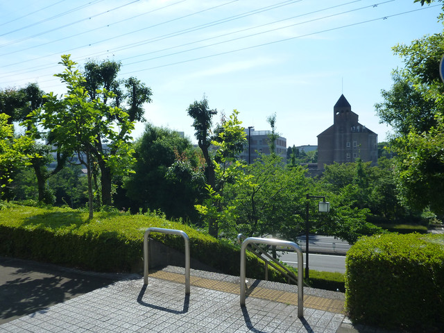 P1320200.jpg