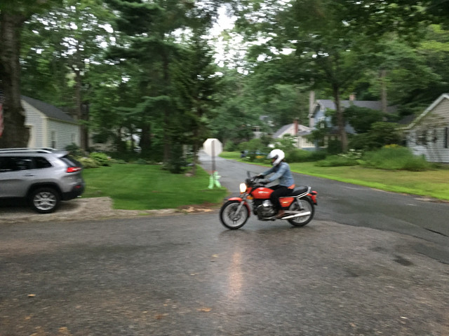 IMG 0231