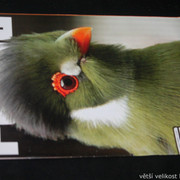IMG-7716