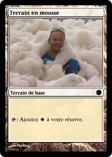 Terrain en mousse.png