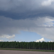 DSC00609