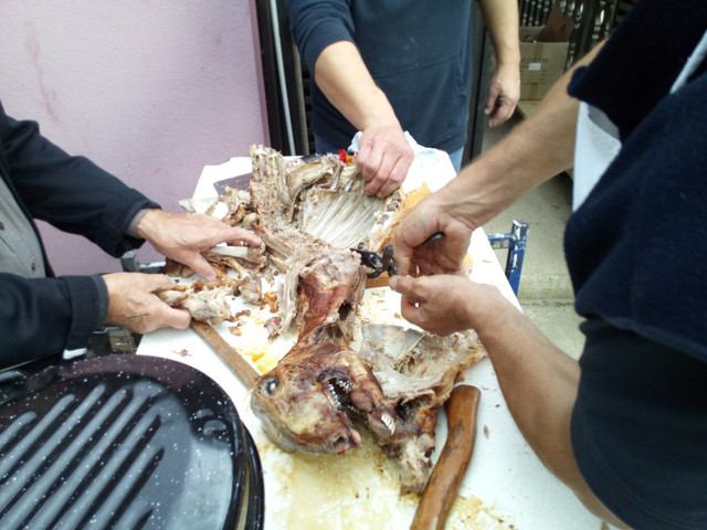 IMG-20181027-160831-1-CS