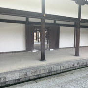 IMG-2959