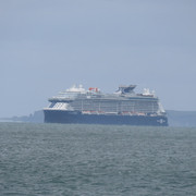 IMG-6572