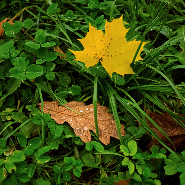 DSCF1804.jpg