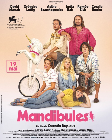 Mandibul.jpg