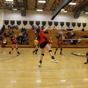 IMG-0081