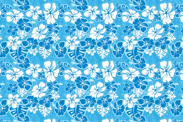 Layer-1