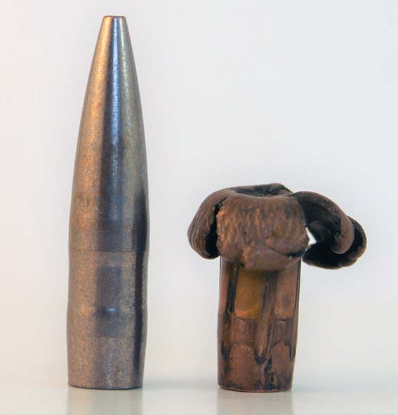 [Image: IMG-5017-2.jpg]