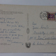 IMG-6374