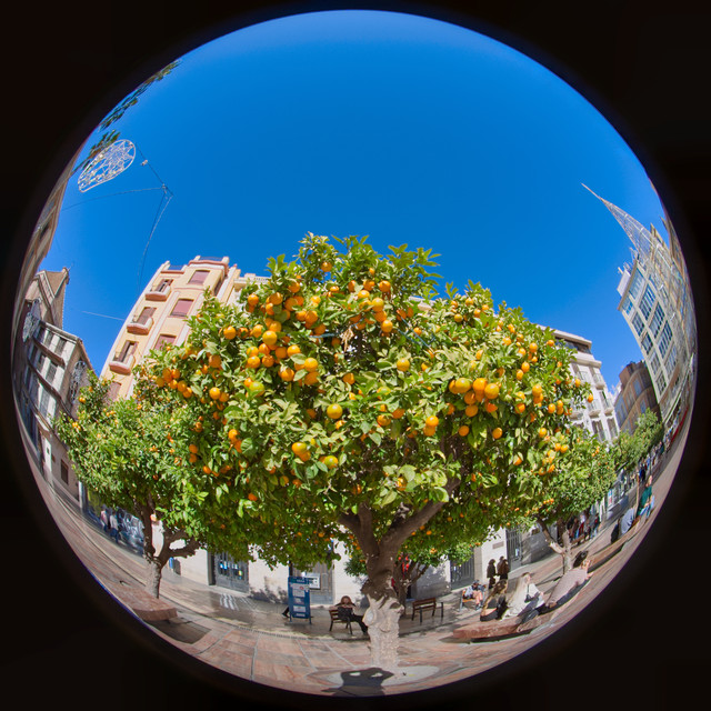 DSCF7909.jpg