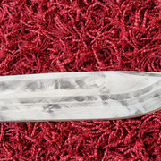 IMG-20210813-WA0004