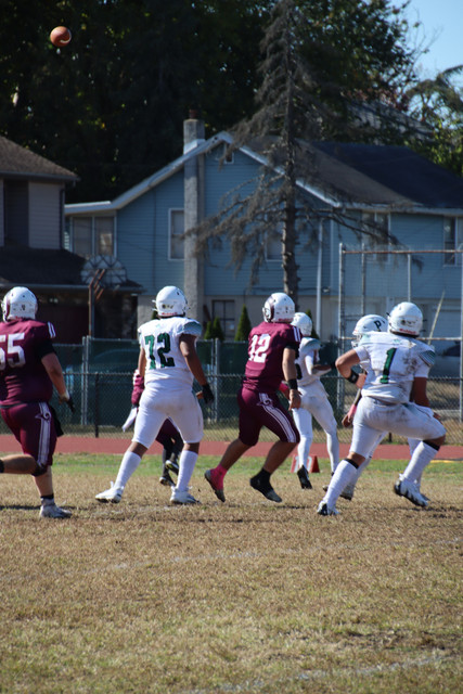 IMG-3535