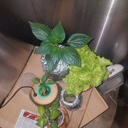 20191206_200501