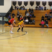 IMG-0290