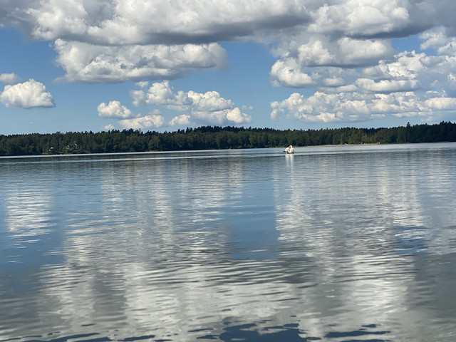 C8846-D22-BF6-A-42-E2-AFBD-0-C4-E72-D399