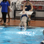 IMG-0108