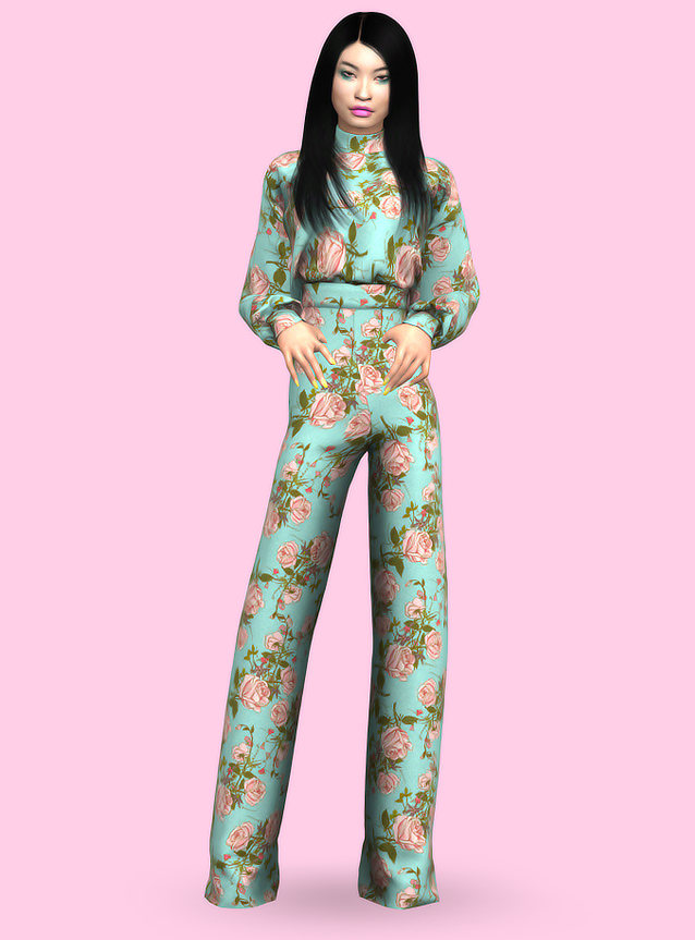 dasha.png