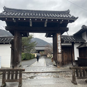 IMG-2820