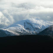 IPB Image