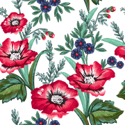 44478cf9b3fa44189d26ff381754833d 2.png
