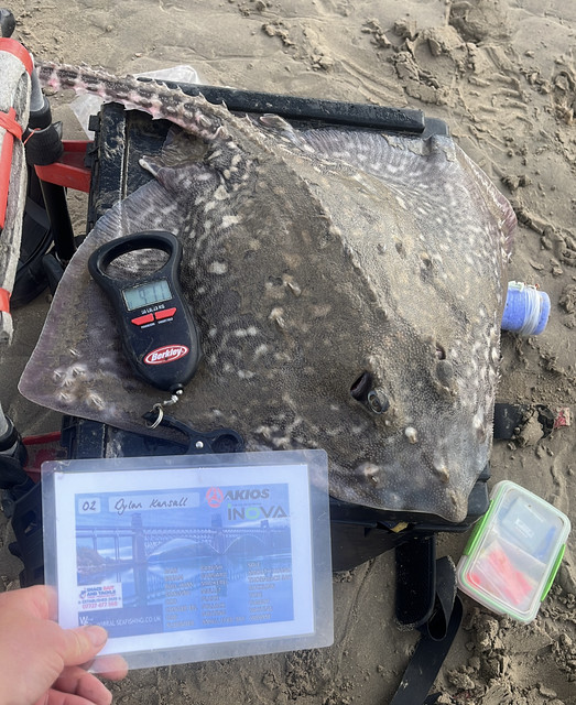 PB TB Ray
