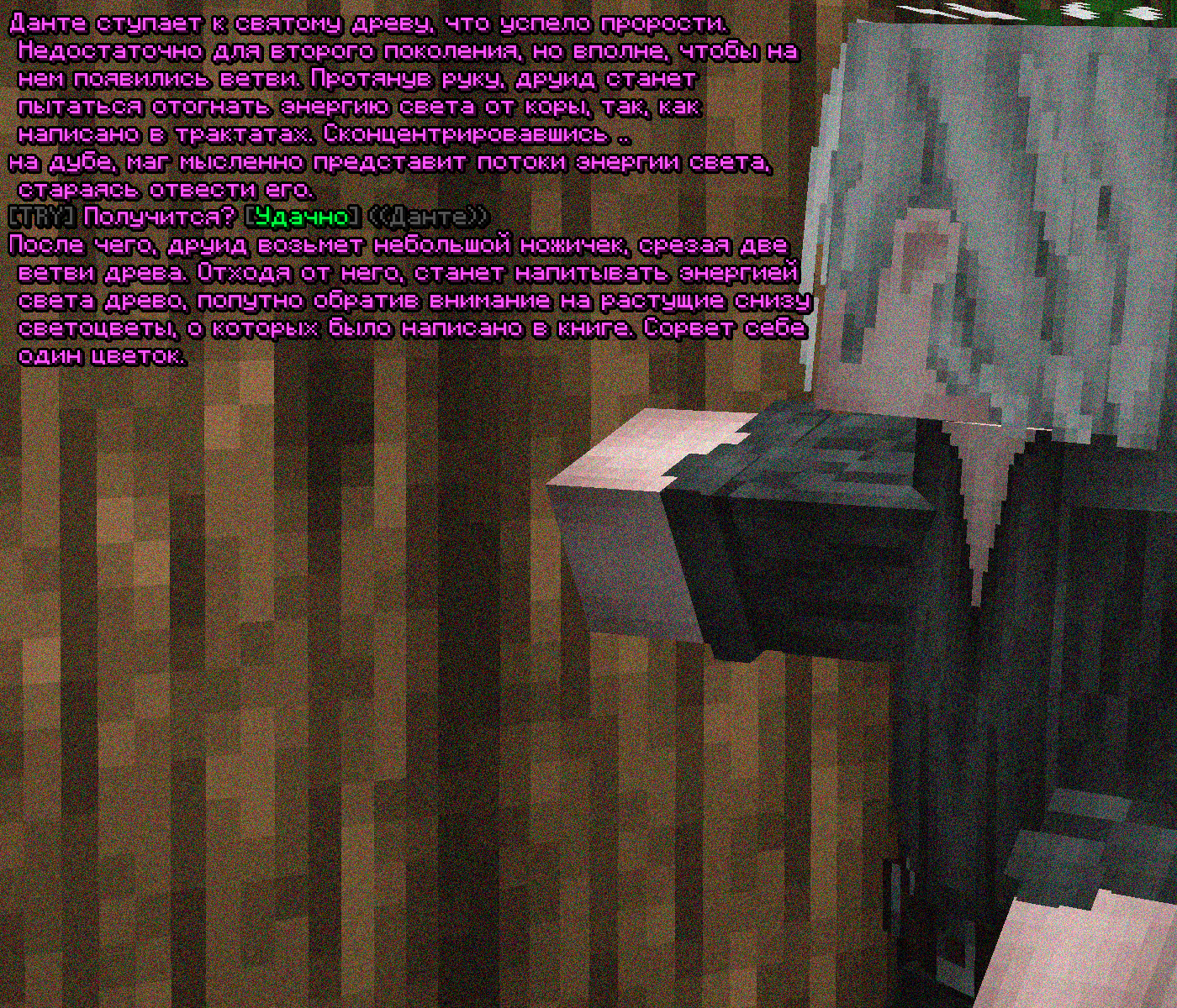 SS1.png