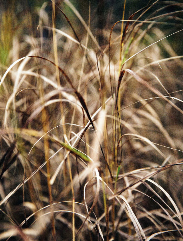 Laine-52-Weeks-of-Shawls-2022-16