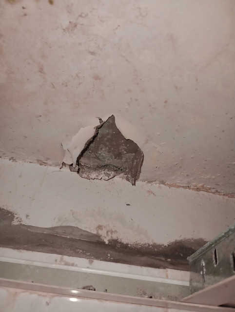 image12