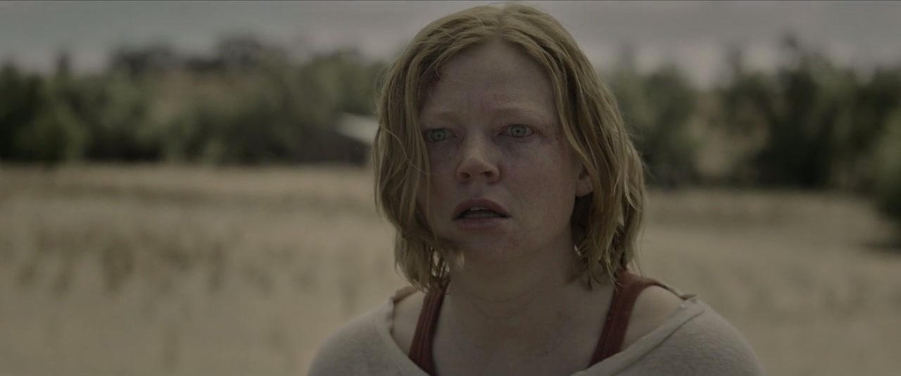 Run Rabbit Run Screenshot