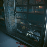photomode 21032026 125558