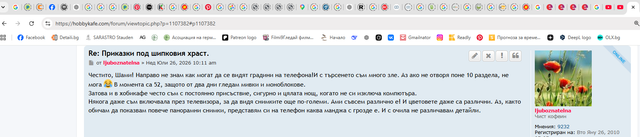 форум