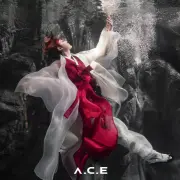 chan a c e 1107340