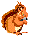 squirrel 3