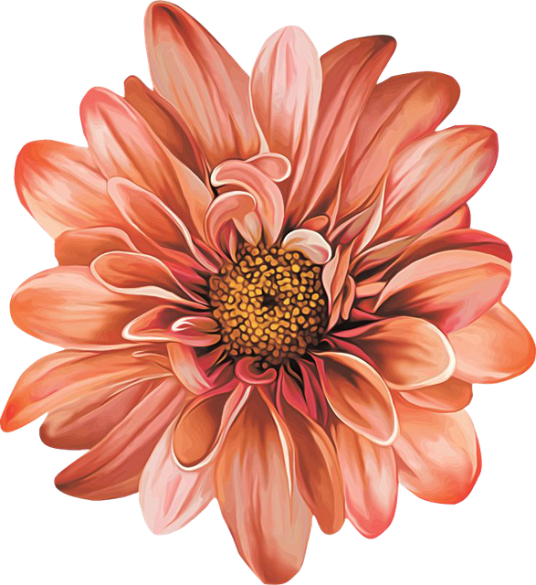 9d56936fa48ec4d05f476720e19d9062.png