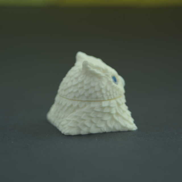 DSC-0043.png