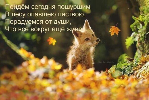 https://i.ibb.co/mVH1S6X7/IMG-2109.jpg