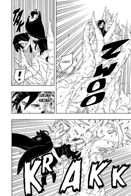 Kawaki2