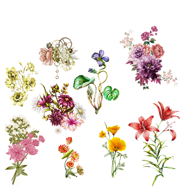 68ac1f42e13a2b554e236ced43a182e0.png
