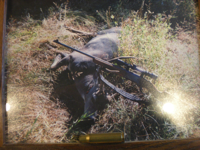 buck