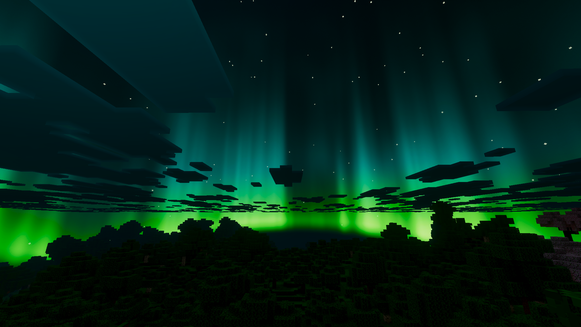 Aurora Over Forest