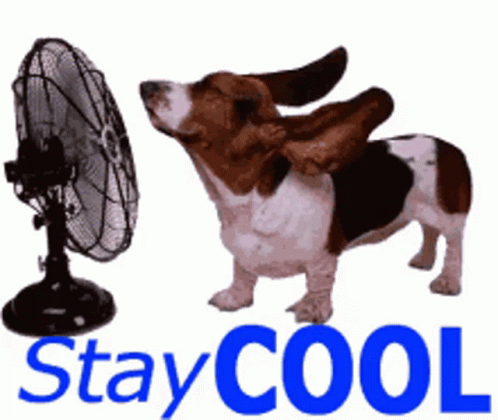 stay cool
