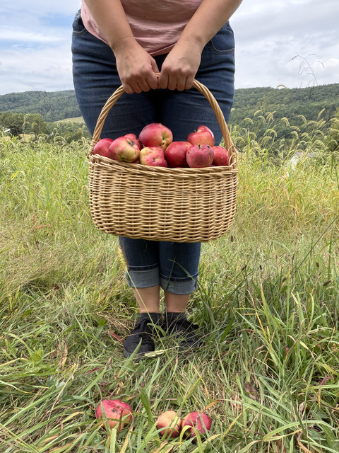 Foraging-8