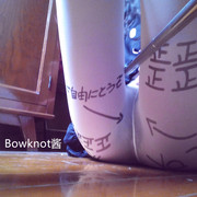 Bowknot-214